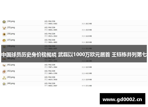 中国球员历史身价榜揭晓 武磊以1000万欧元居首 王钰栋并列第七